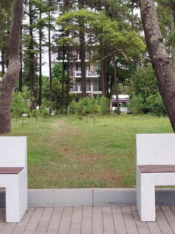 French Hotel 科布列季 外观 照片